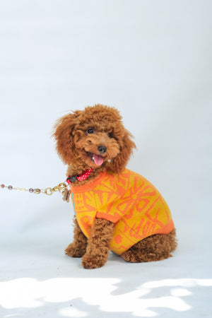 Noir Sur Blanc Popomangun Pet Clothes Yellow