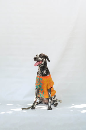 Noir Sur Blanc Popomangun Pet Clothes Yellow