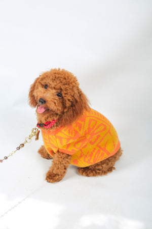 Noir Sur Blanc Popomangun Pet Clothes Yellow