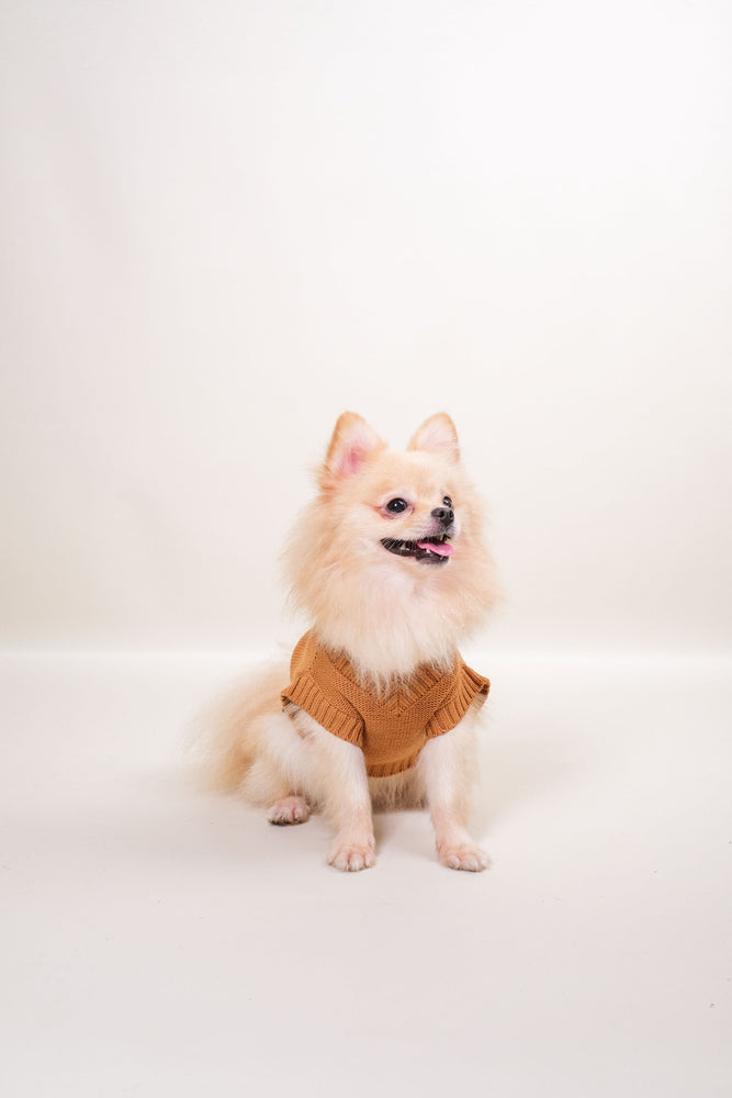 Noir Sur Blanc Pet Oscar Vest