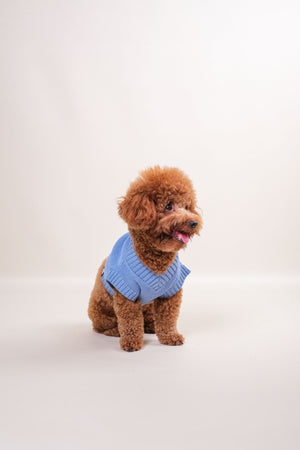 Noir Sur Blanc Pet Oscar Vest