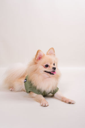 Noir Sur Blanc Pet Oscar Vest