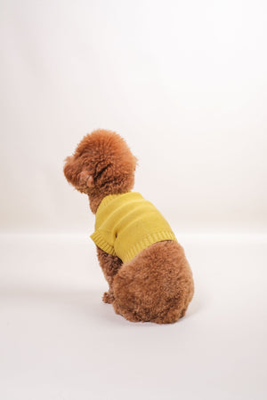 Noir Sur Blanc Pet Oscar Vest
