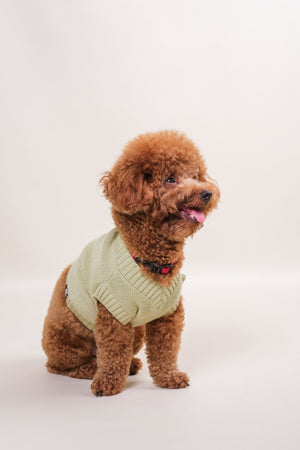 Noir Sur Blanc Pet Oscar Vest