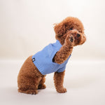 Noir Sur Blanc Pet Oscar Vest
