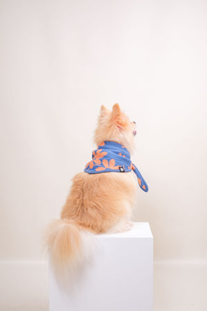 Noir Sur Blanc Pet Recycled Bandana