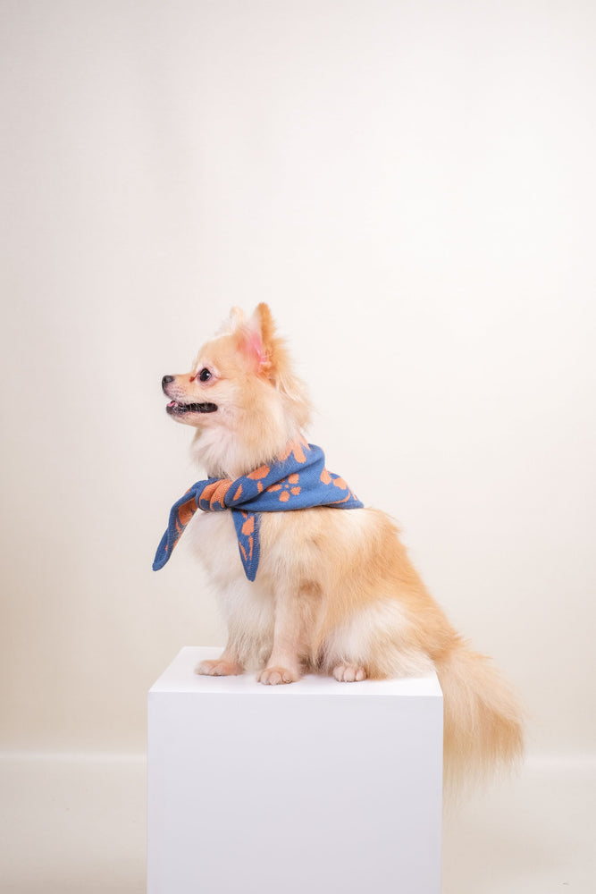 Noir Sur Blanc Pet Recycled Bandana