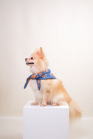 Noir Sur Blanc Pet Recycled Bandana