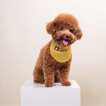 Noir Sur Blanc Pet Rocky Bandana Honey