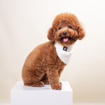 Noir Sur Blanc Pet Rocky Bandana Off White