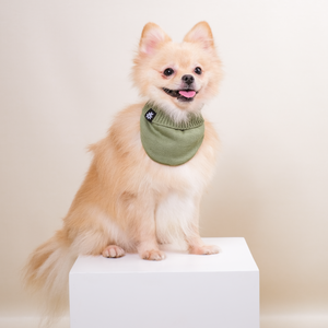 Noir Sur Blanc Pet Rocky Bandana Mint