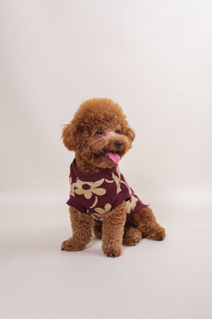 Noir Sur Blanc Pet Flora Jumper