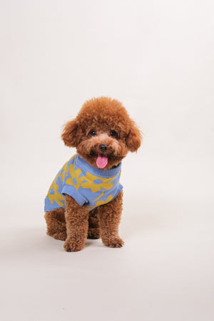 Noir Sur Blanc Pet Flora Jumper