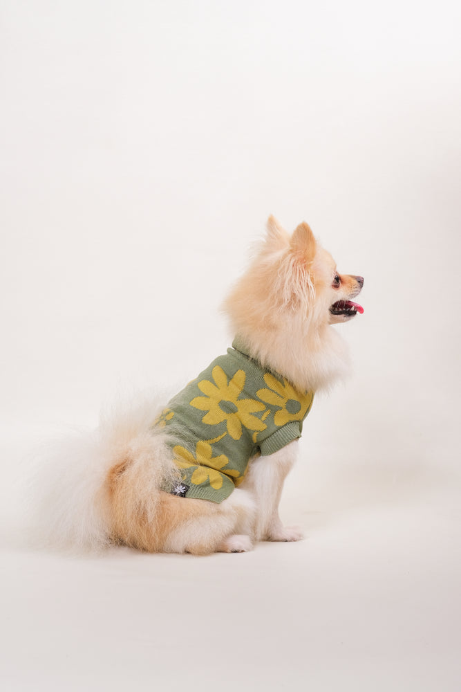 Noir Sur Blanc Pet Flora Jumper