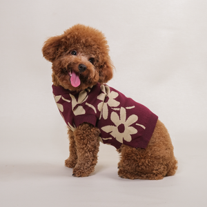 Noir Sur Blanc Pet Flora Jumper