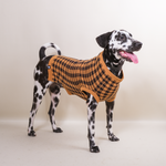 Noir Sur Blanc Pet Plaid Jumper Brick