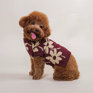 Noir Sur Blanc Pet Flora Jumper