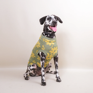 Noir Sur Blanc Pet Flora Jumper