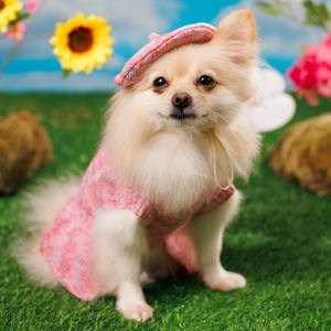 Noir Sur Blanc Pet Beret Candy Pink