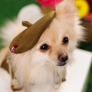 Noir Sur Blanc Pet Beret Choco Candy