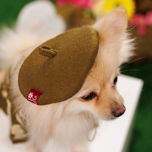 Noir Sur Blanc Pet Beret Choco Candy
