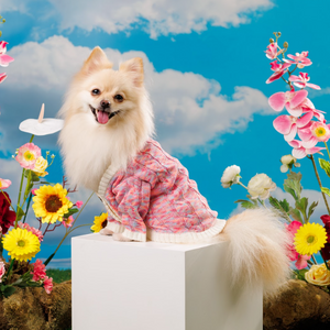 Noir Sur Blanc Pet Cardigan Candy Pink