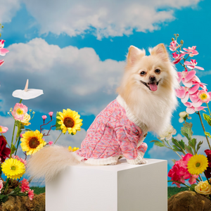 Noir Sur Blanc Pet Cardigan Candy Pink