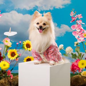 Noir Sur Blanc Pet Cardigan Candy Pink