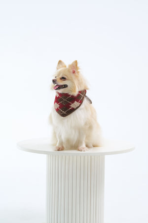 Noir Sur Blanc Pet x Poppy Paddy Noel Scarf