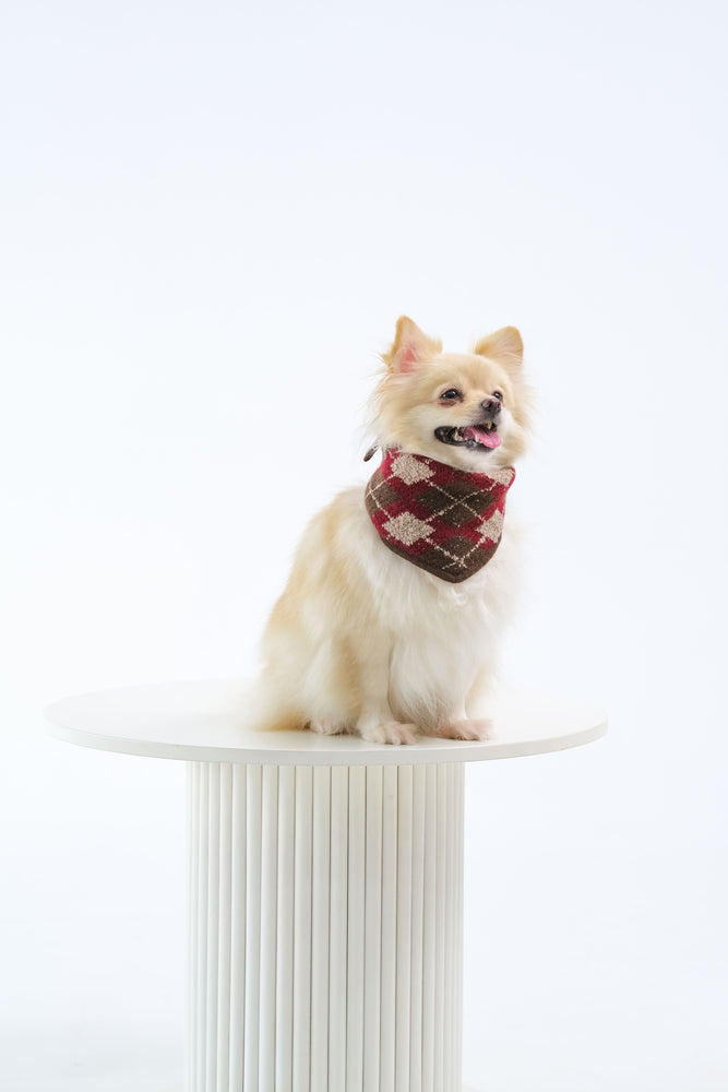 Noir Sur Blanc Pet x Poppy Paddy Noel Scarf