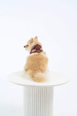 Noir Sur Blanc Pet x Poppy Paddy Noel Scarf