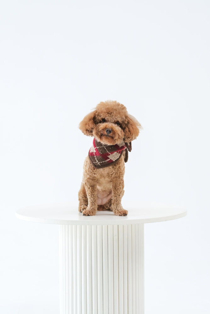 Noir Sur Blanc Pet x Poppy Paddy Noel Scarf