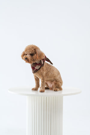 Noir Sur Blanc Pet x Poppy Paddy Noel Scarf