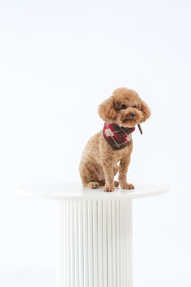 Noir Sur Blanc Pet x Poppy Paddy Noel Scarf