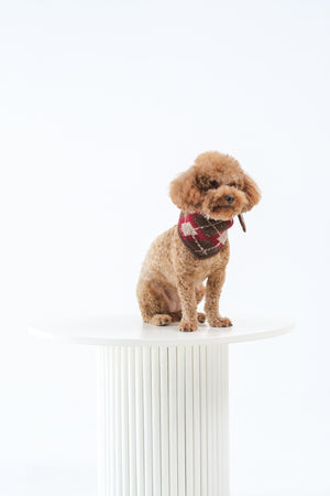 Noir Sur Blanc Pet x Poppy Paddy Noel Scarf