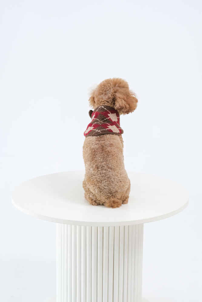 Noir Sur Blanc Pet x Poppy Paddy Noel Scarf
