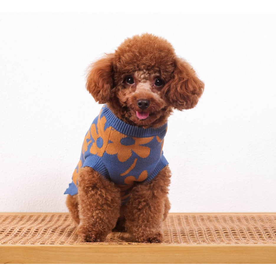 Noir Sur Blanc Pet Flora Jumper Denim