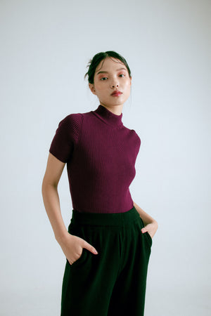 Xena Mock Neck Maroon