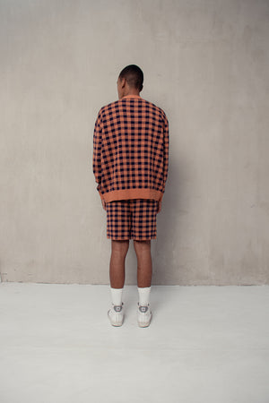 Men Plaid Shorts Brick Navy