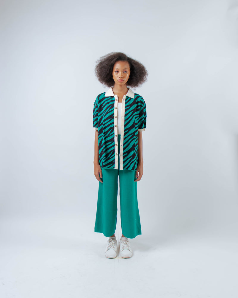 
            
                Load image into Gallery viewer, Zebra Shirt Green
            
        