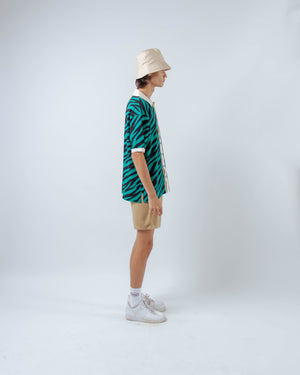Men Zebra Shirt Green
