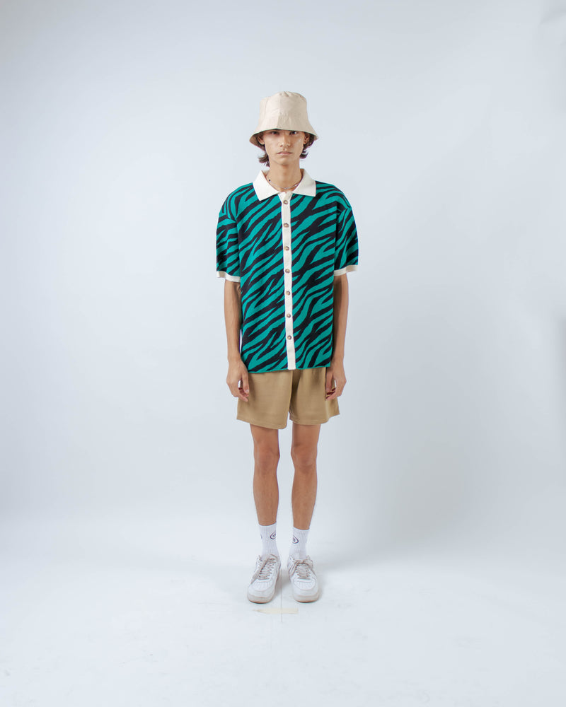 Men Zebra Shirt Green