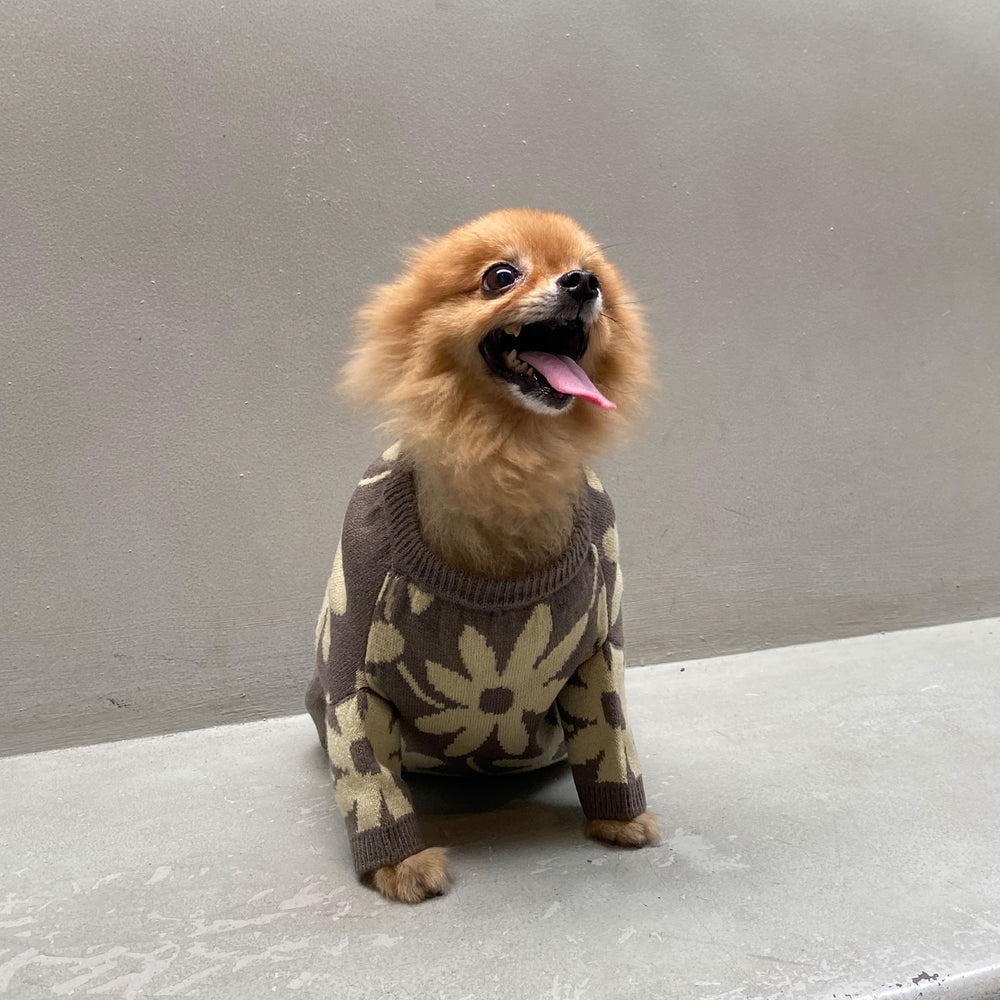 Flora Lounge Shirt and Pet Clothes Bundle
