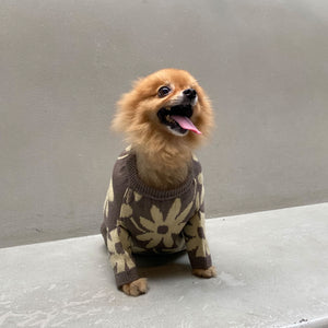 Flora Lounge Shirt and Pet Clothes Bundle