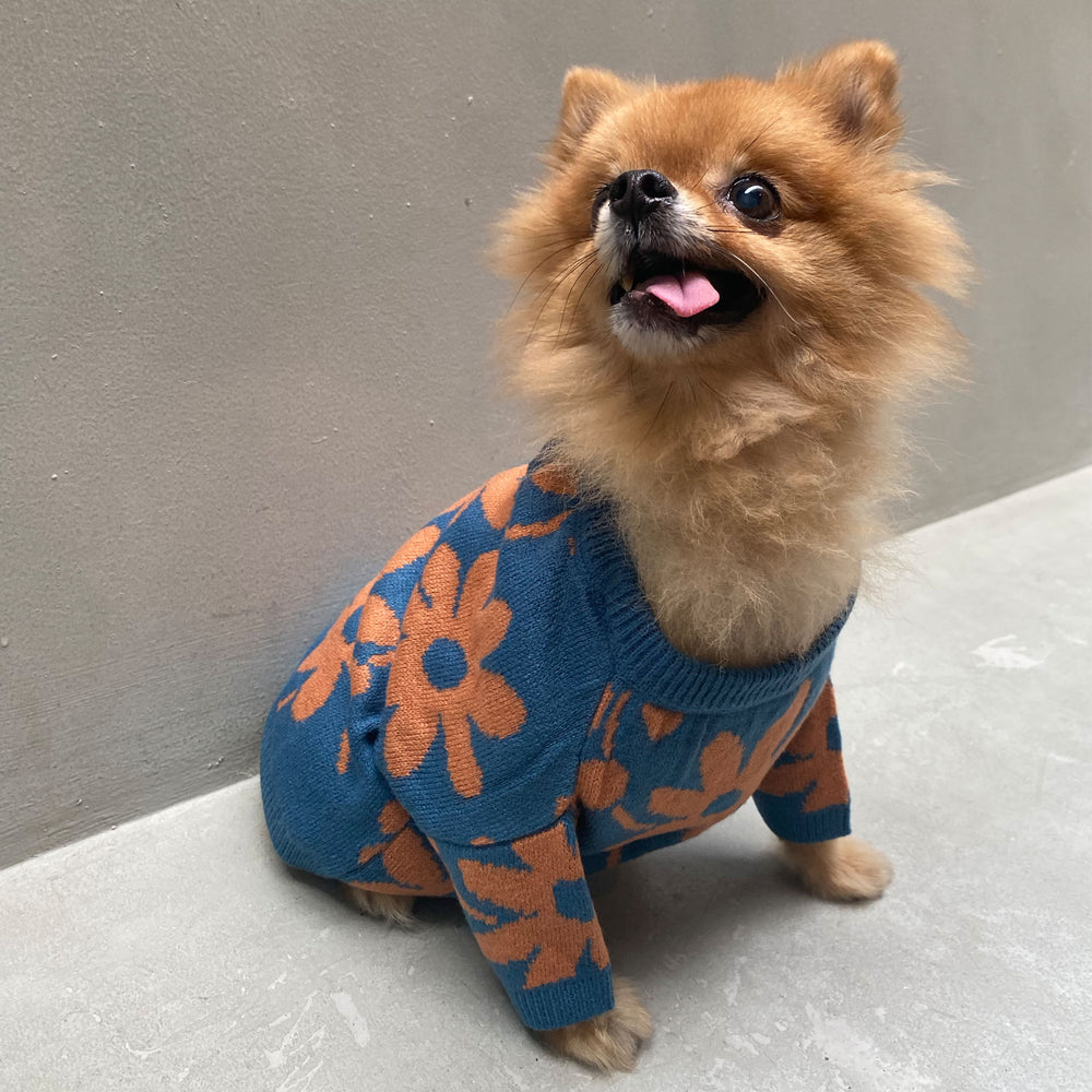 Flora Lounge Shirt and Pet Clothes Bundle
