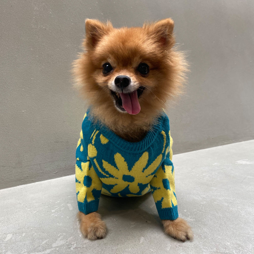 Flora Lounge Shirt and Pet Clothes Bundle