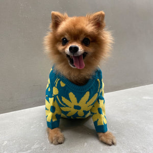 Flora Lounge Shirt and Pet Clothes Bundle