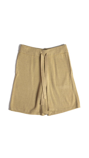 Men Plain Shorts Chocolate